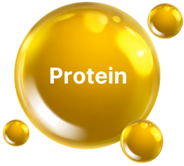 icon protein